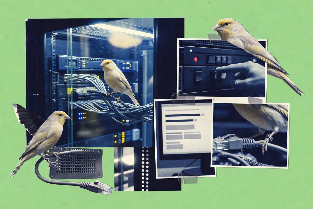 Top 10 Best Canary In Software of 2026