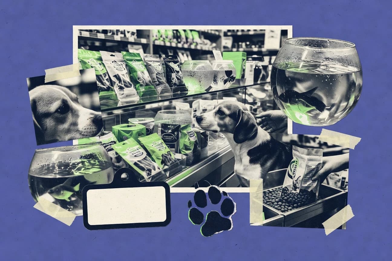 China Pet Industry Statistics