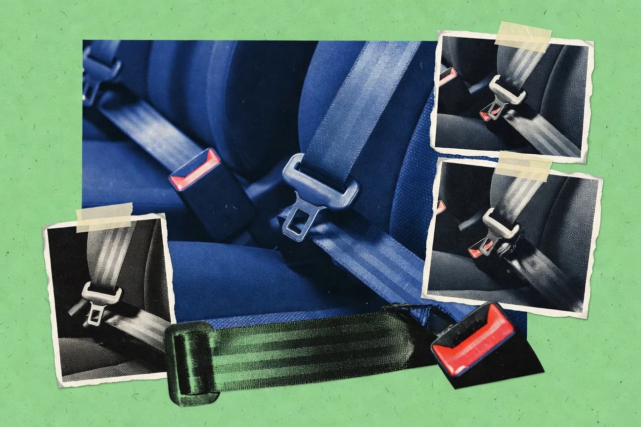 Seat Belt Statistics
