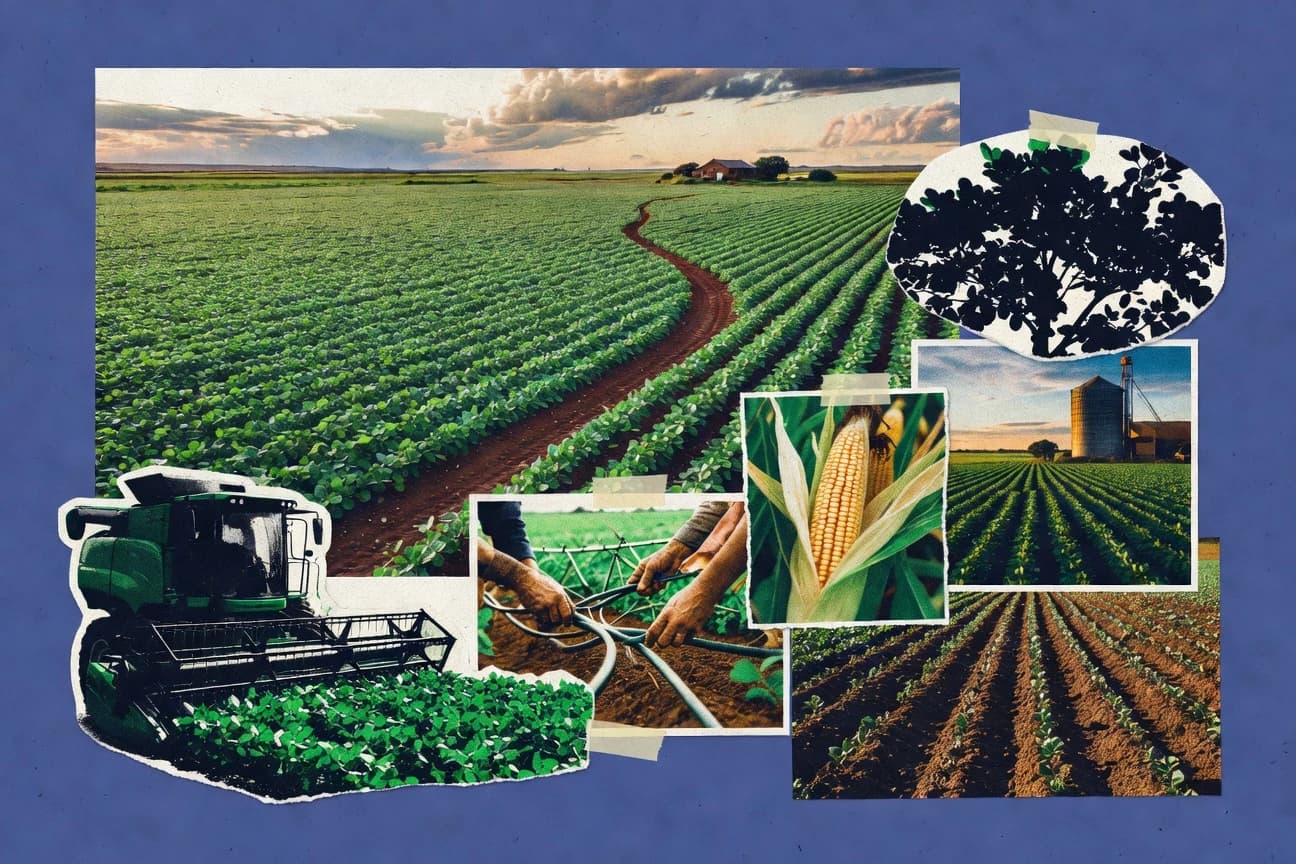 Argentina Agriculture Statistics