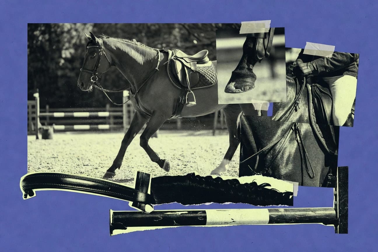 Equestrian Industry Statistics