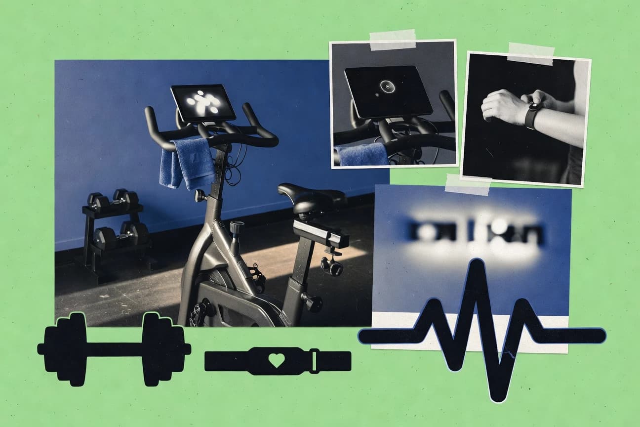 Ai In The Boutique Fitness Industry Statistics