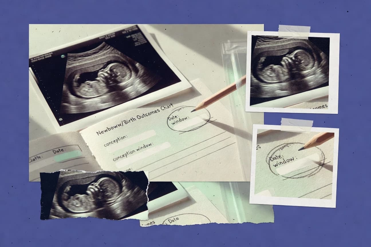 Conception Statistics