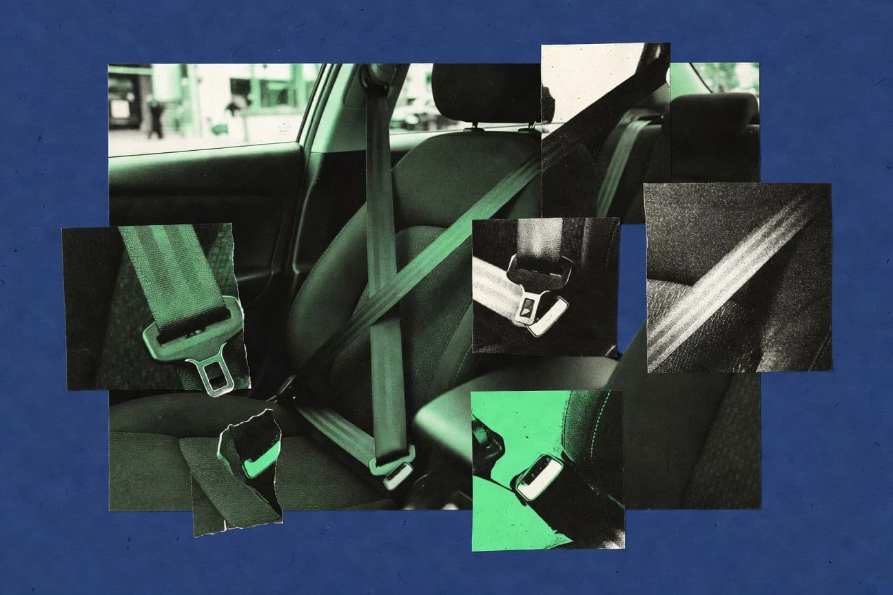 Seat Belt Usage Statistics