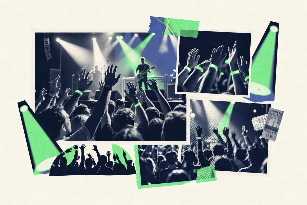 Concert Attendance Statistics
