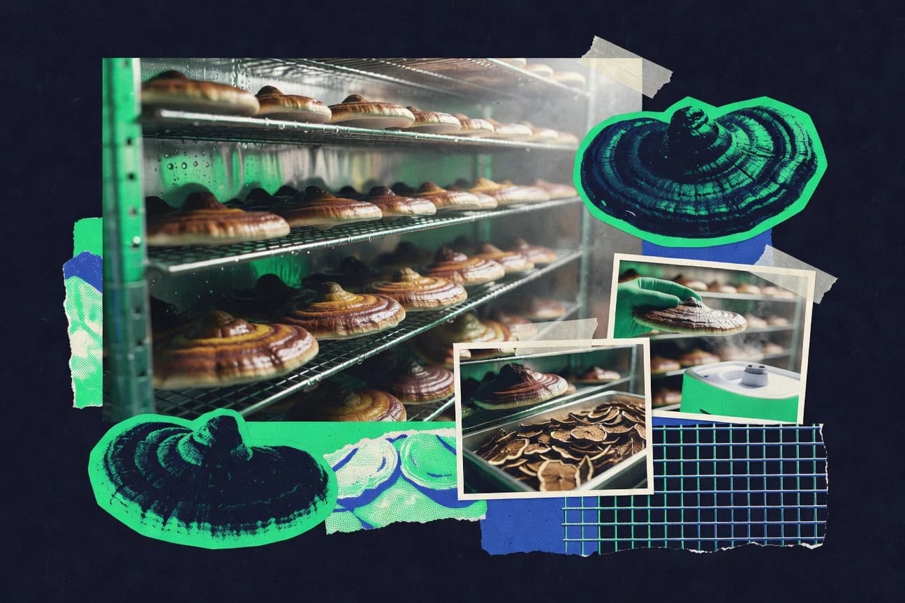 Ganoderma Lucidum Industry Statistics