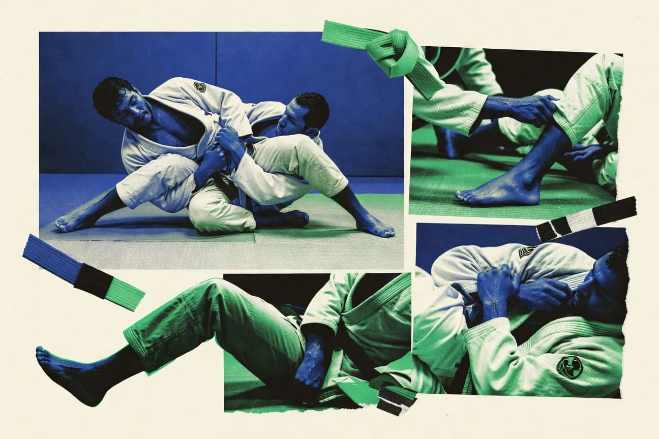 Bjj Statistics