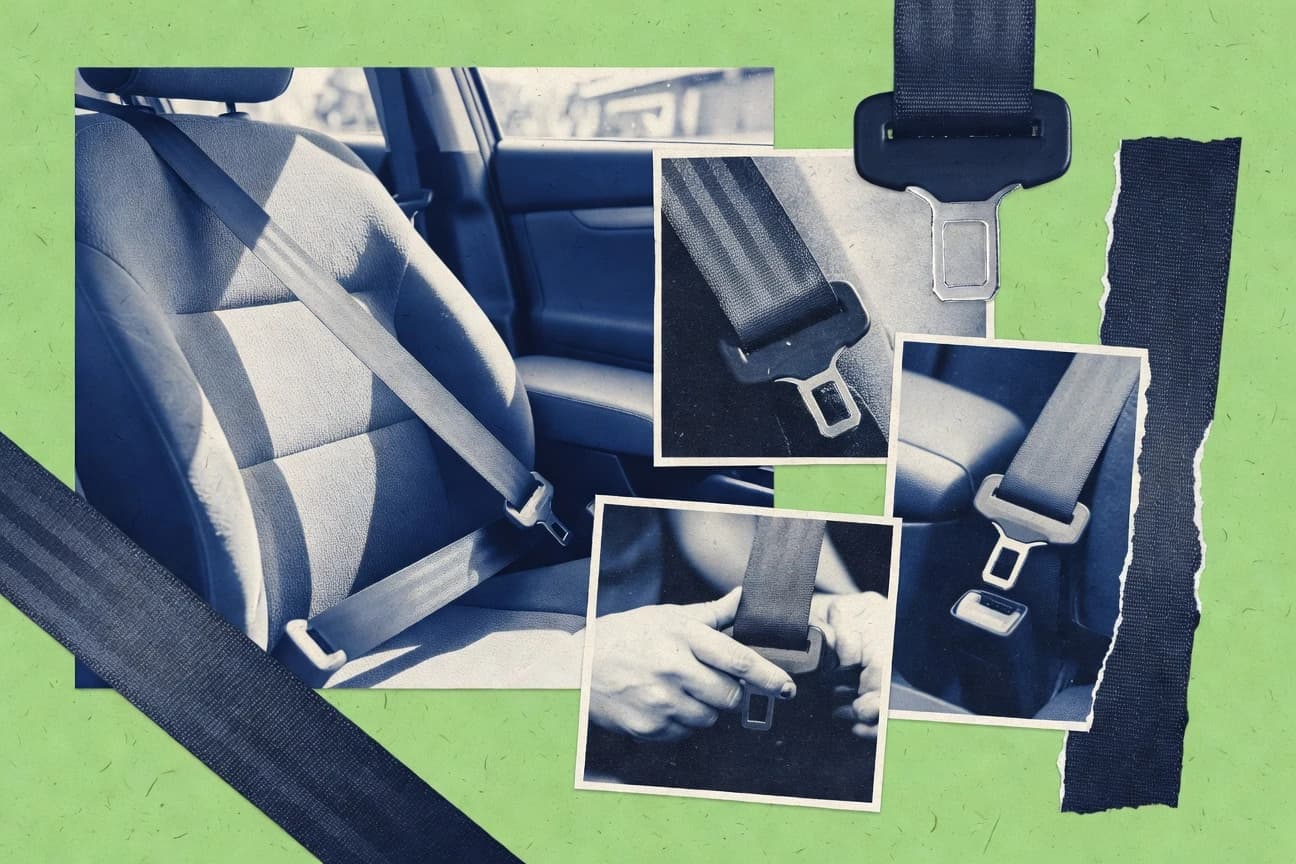 Seatbelt Safety Statistics