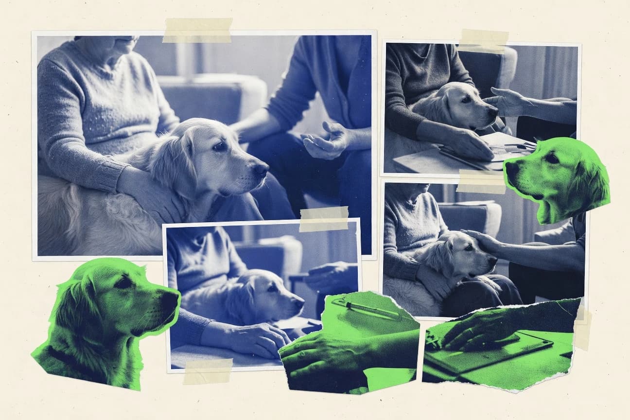 Animal Assisted Therapy Statistics