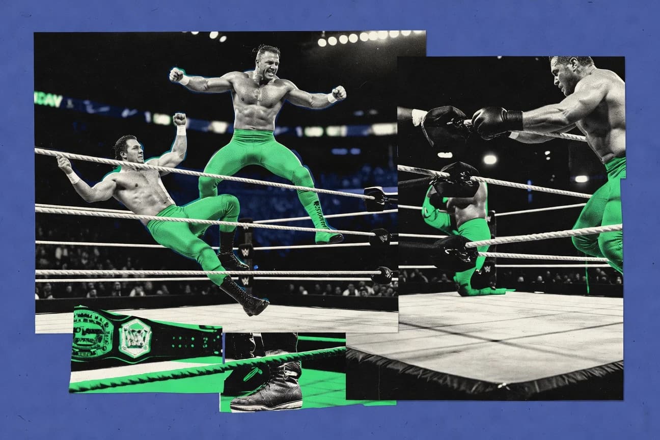 Wwe Wrestling Statistics