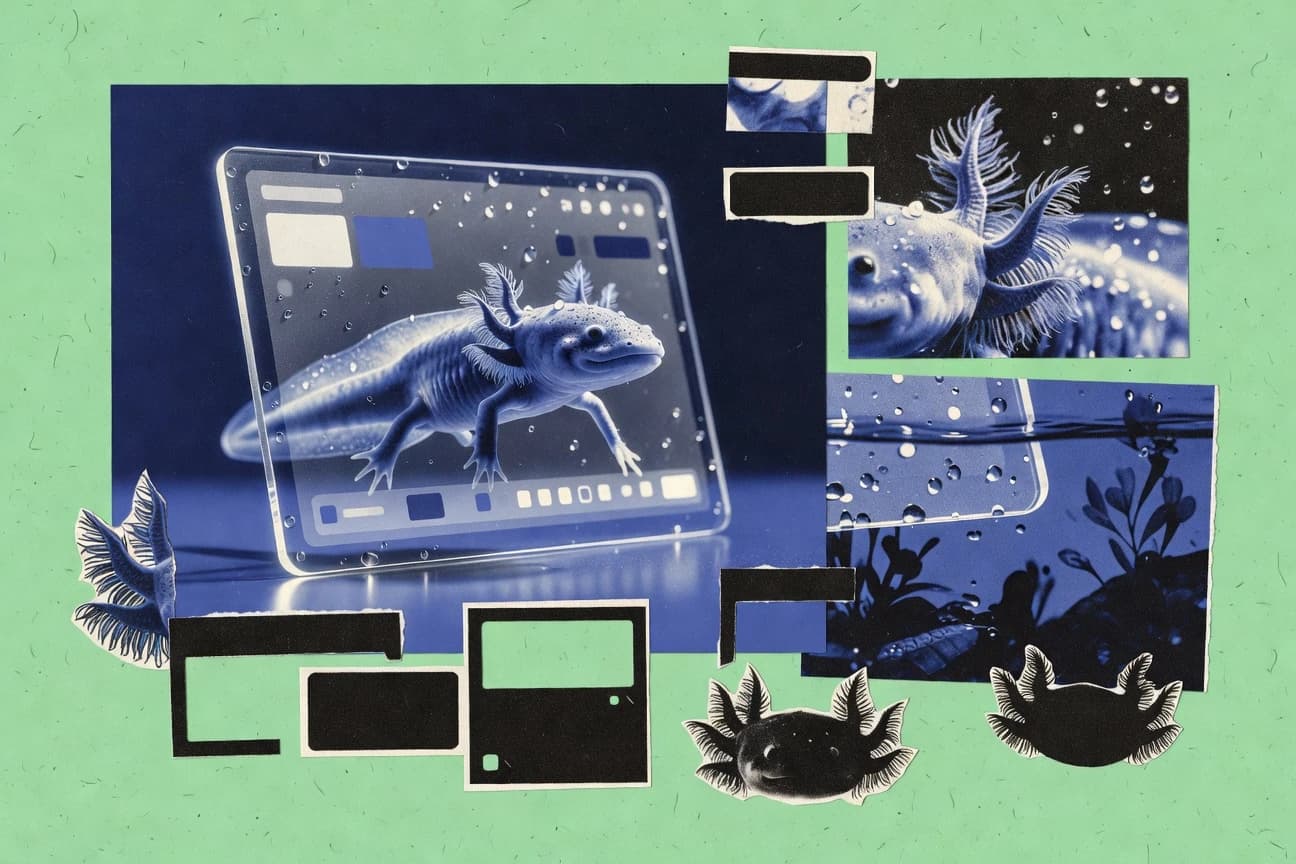 Top 10 Best Axolotl Software of 2026