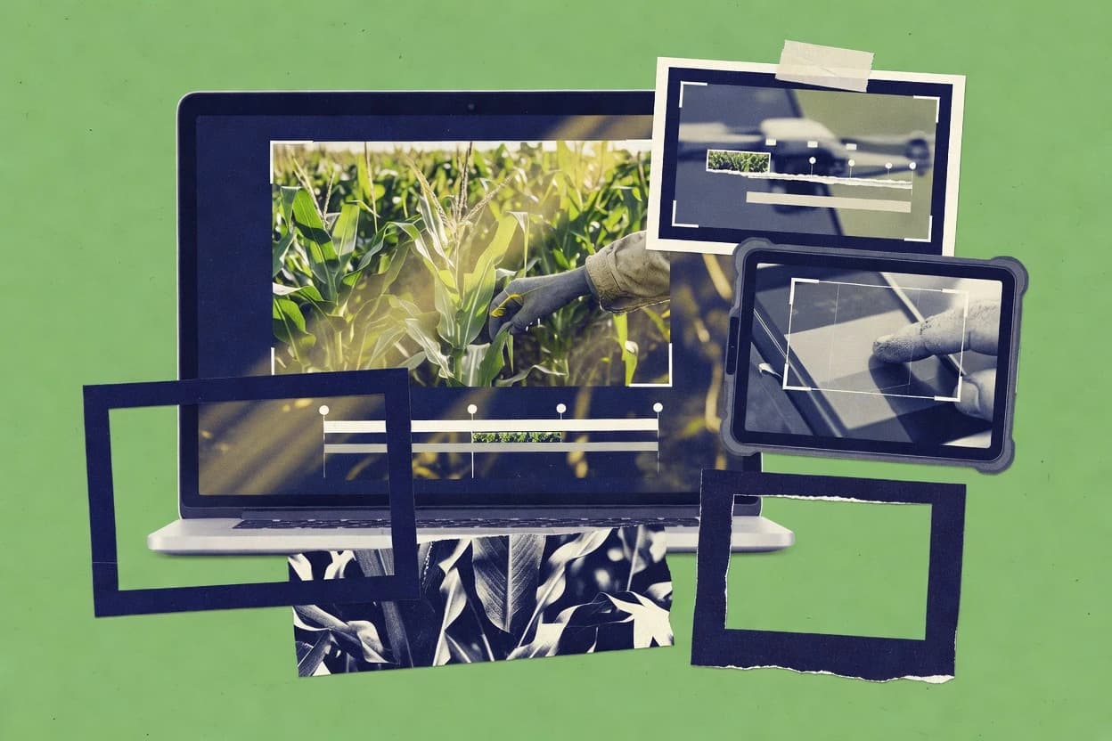 Top 10 Best Crop Video Software of 2026