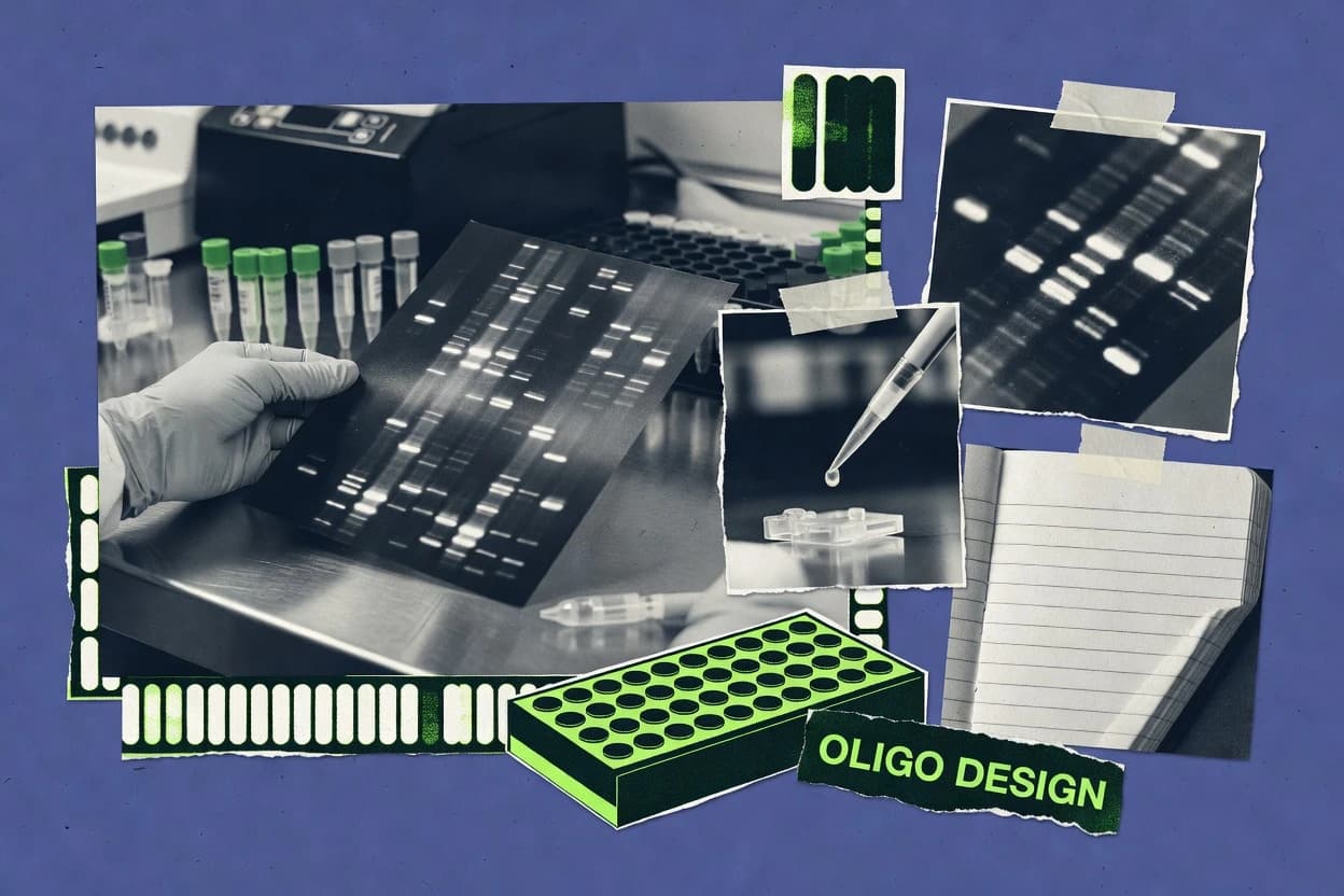 Top 10 Best Oligo Design Software of 2026