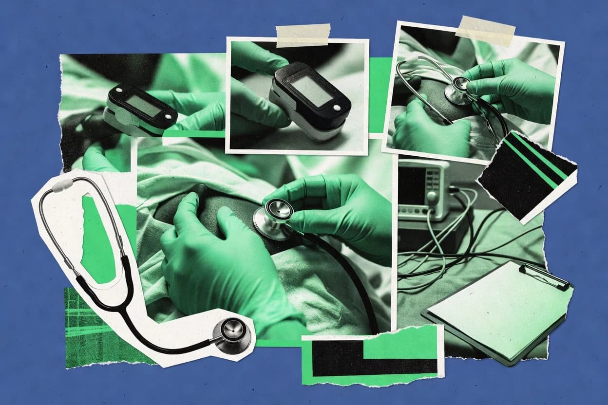 Top 10 Best Patient Assessment Software of 2026