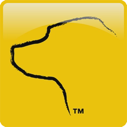 AccountingSuite (formerly Practice Master) logo