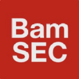 bamsec.com
