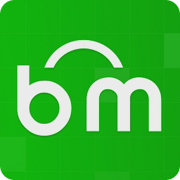 BetterMatch logo