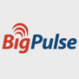 BigPulse logo