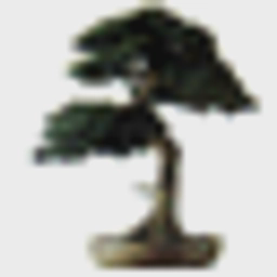 Bonsai logo