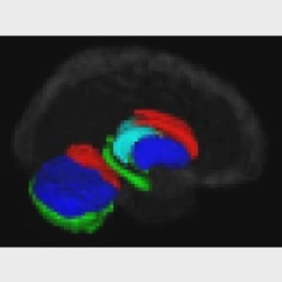BrainImageAnalysis logo