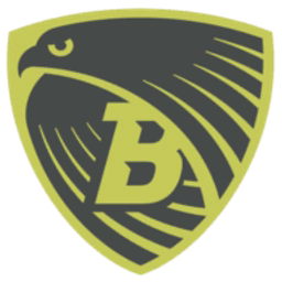 BrandHawk logo
