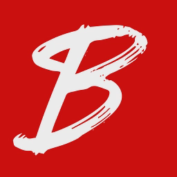 BSI Auto logo