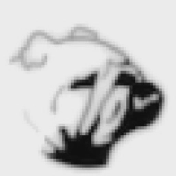 PyroSim logo