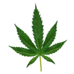 Cannabis Linkbuilding.com logo