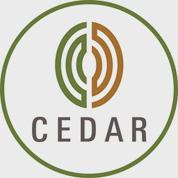 Cedar Management Consulting International logo