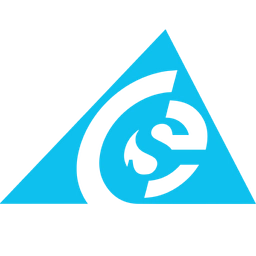 CSE Entity Management logo