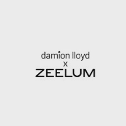 Damionlloyd logo