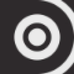DISCO logo