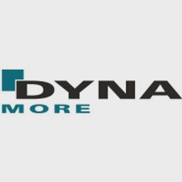 DYNAmore (DYNAmore-DM/shape and process tools) logo
