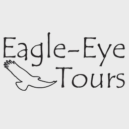 Eagle Eye logo