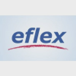 eFlex logo