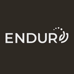 Endur logo