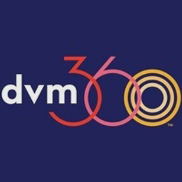 fetchdvm360.com