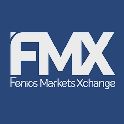FMX logo