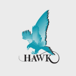 HAWK Measurement logo