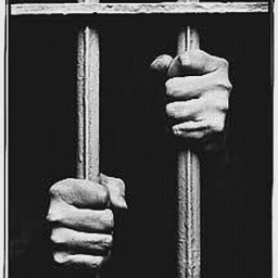 ImmigrationDirect logo