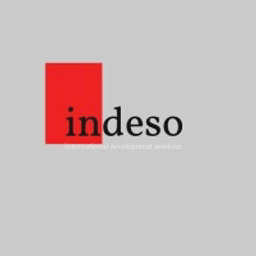 Indeso International Consulting logo