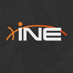 INE Security logo
