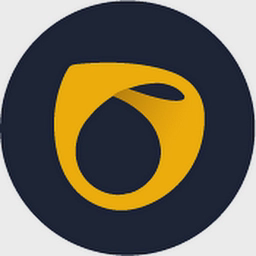 Invivo Dental Imaging logo