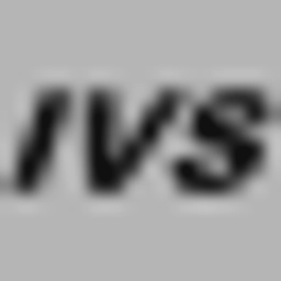 IVS Elections (Intelligent Voting Systems) logo
