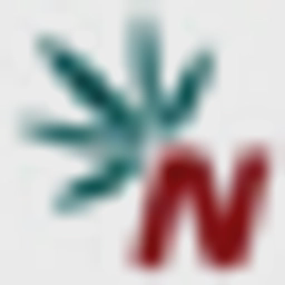 Nexy Security and Export Compliance logo