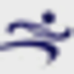 Oasys Sports logo