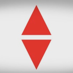 Pro Medicus Visage logo