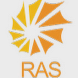 RAS LSS Consulting logo