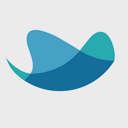 Raynet License Control logo