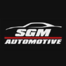 Professional Tools by SGM (SGM Automotive Diagnostics) logo